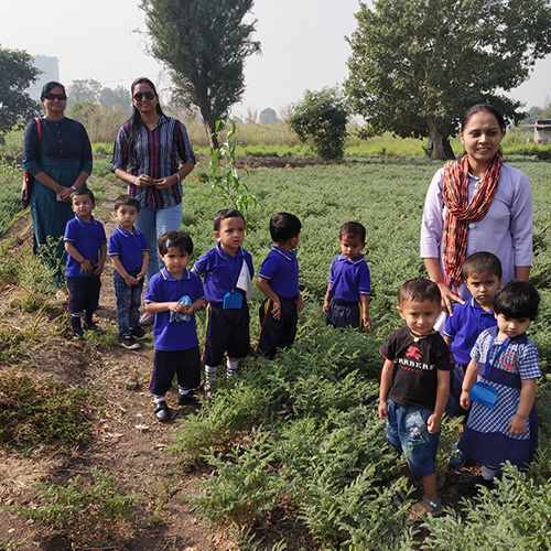 nursery school in Chinchwad walhekarwadi pune