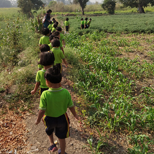 nursery school in Chinchwad walhekarwadi pune