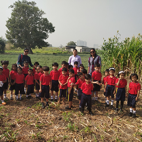 nursery school in Chinchwad walhekarwadi pune