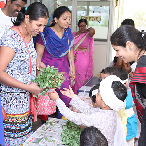 seniorkg school in chinchwad